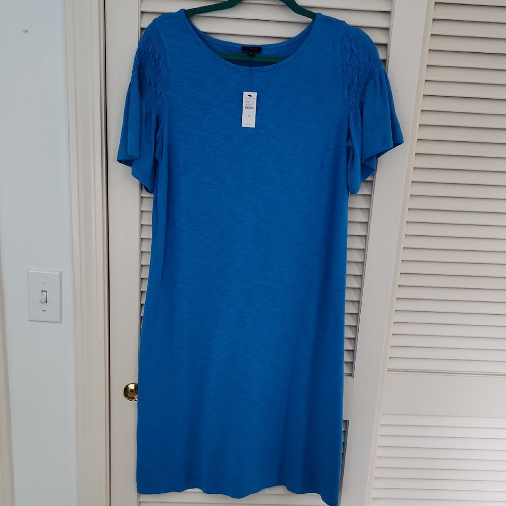 Talbots Vibrant Blue Knit Top